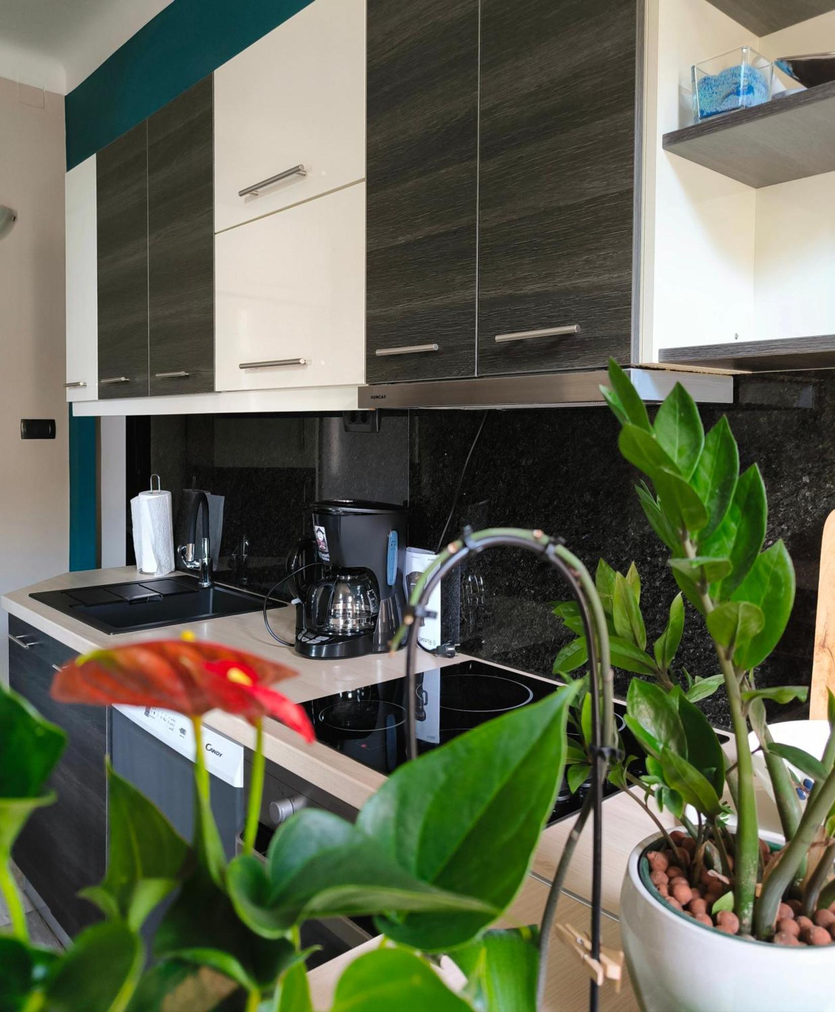 Urban Villa Apartment Opatija Exteriör bild